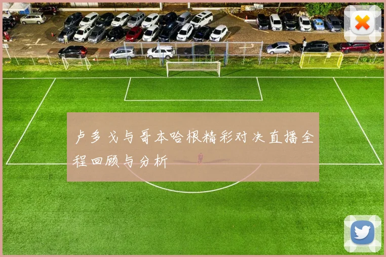 卢多戈与哥本哈根精彩对决直播全程回顾与分析