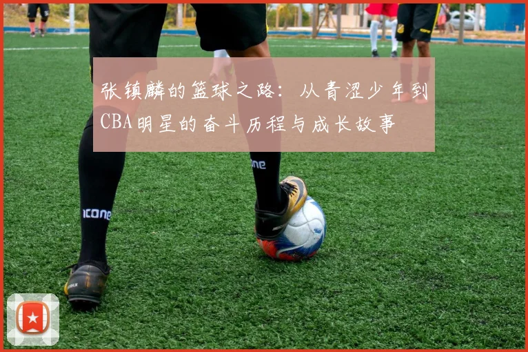张镇麟的篮球之路：从青涩少年到CBA明星的奋斗历程与成长故事