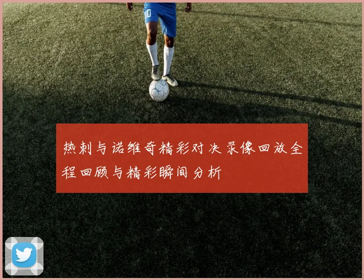 热刺与诺维奇精彩对决录像回放全程回顾与精彩瞬间分析