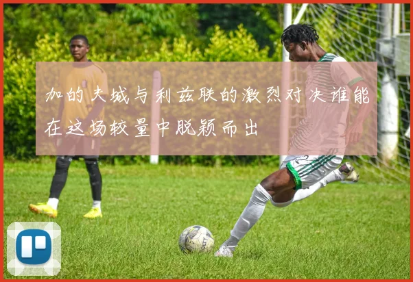加的夫城与利兹联的激烈对决谁能在这场较量中脱颖而出