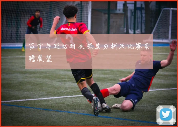 苏宁与延边对决深度分析及比赛前瞻展望