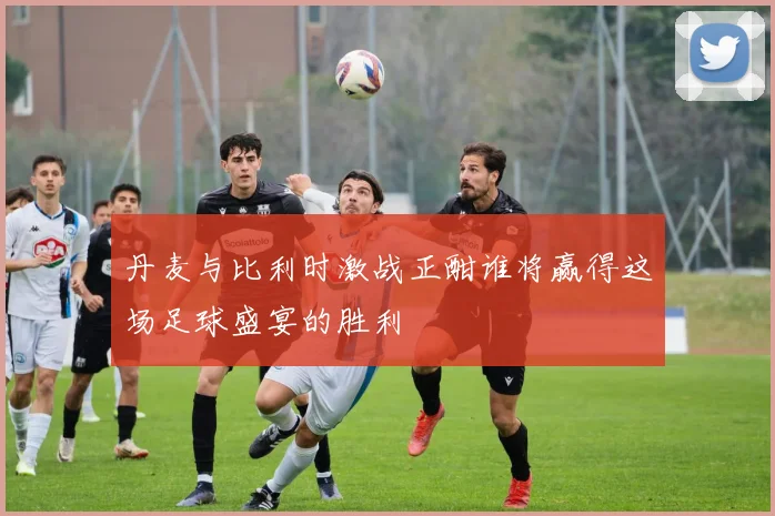 丹麦与比利时激战正酣谁将赢得这场足球盛宴的胜利